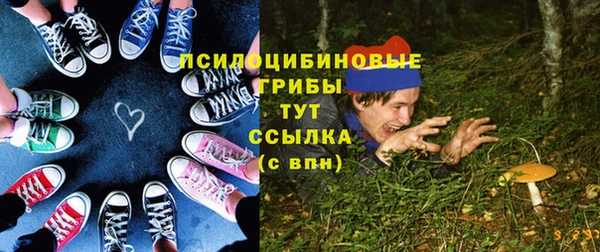гидропоника Кодинск