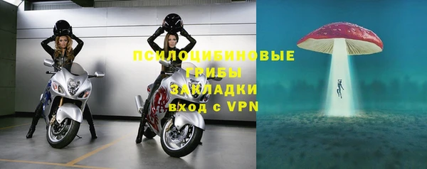 гидропоника Кодинск